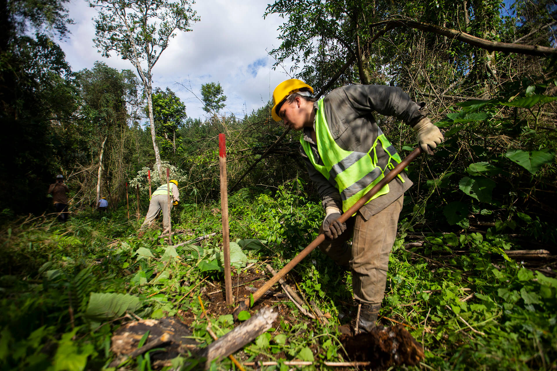Imagen de portada para Nideport inicia actividades de plantación en la Reserva GS1