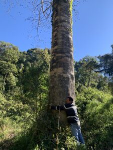 Imagen de portada para Los Mercados de Carbono Voluntarios pueden ser catalizadores para impulsar la innovación verde